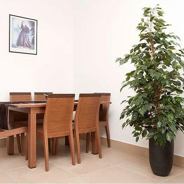 Beau Views Apartment Peyia Exterior photo